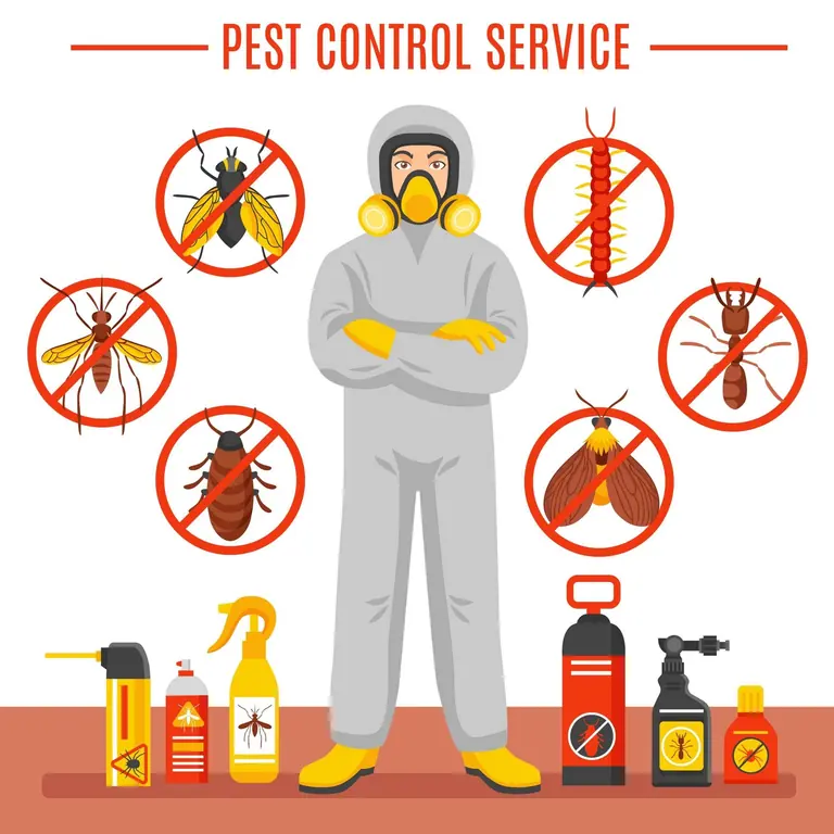 Best pest control services in Dammam