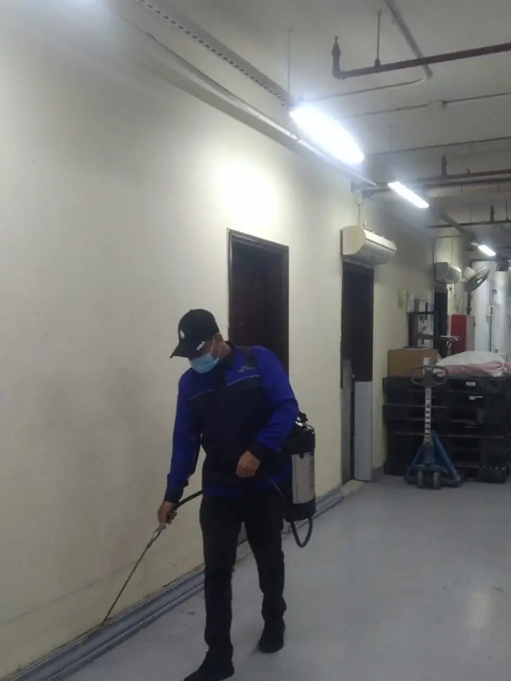 Safe Guard technician spraying a service corridor in Al Manar, Jeddah