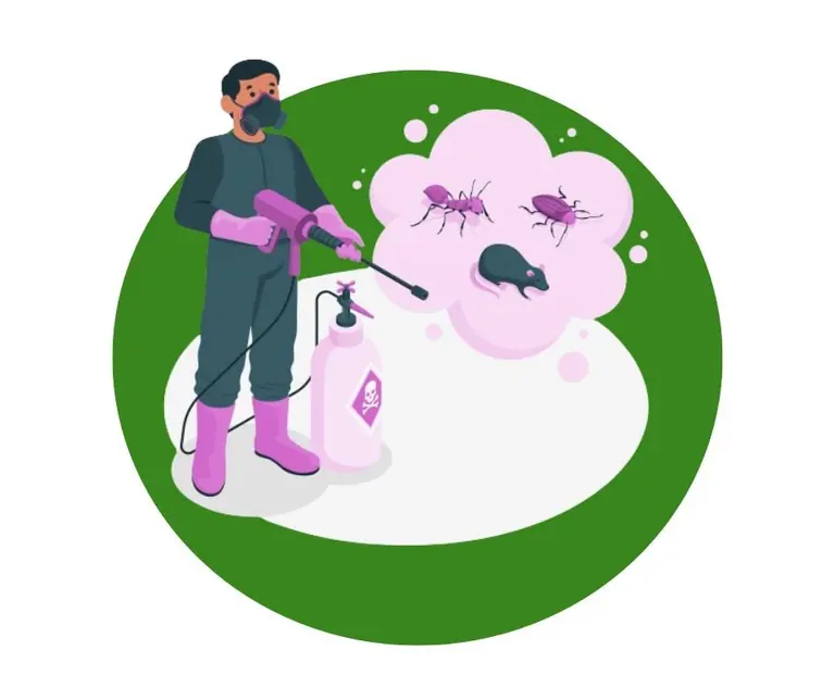 Pest Control Services in Saudi Arabia