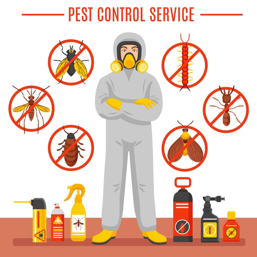 best pest control services in dammam