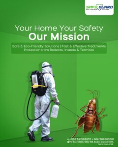 What is the Best Method for Termite Control Dammam?